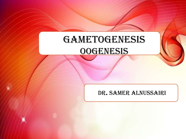 gametogenesis oogenesis