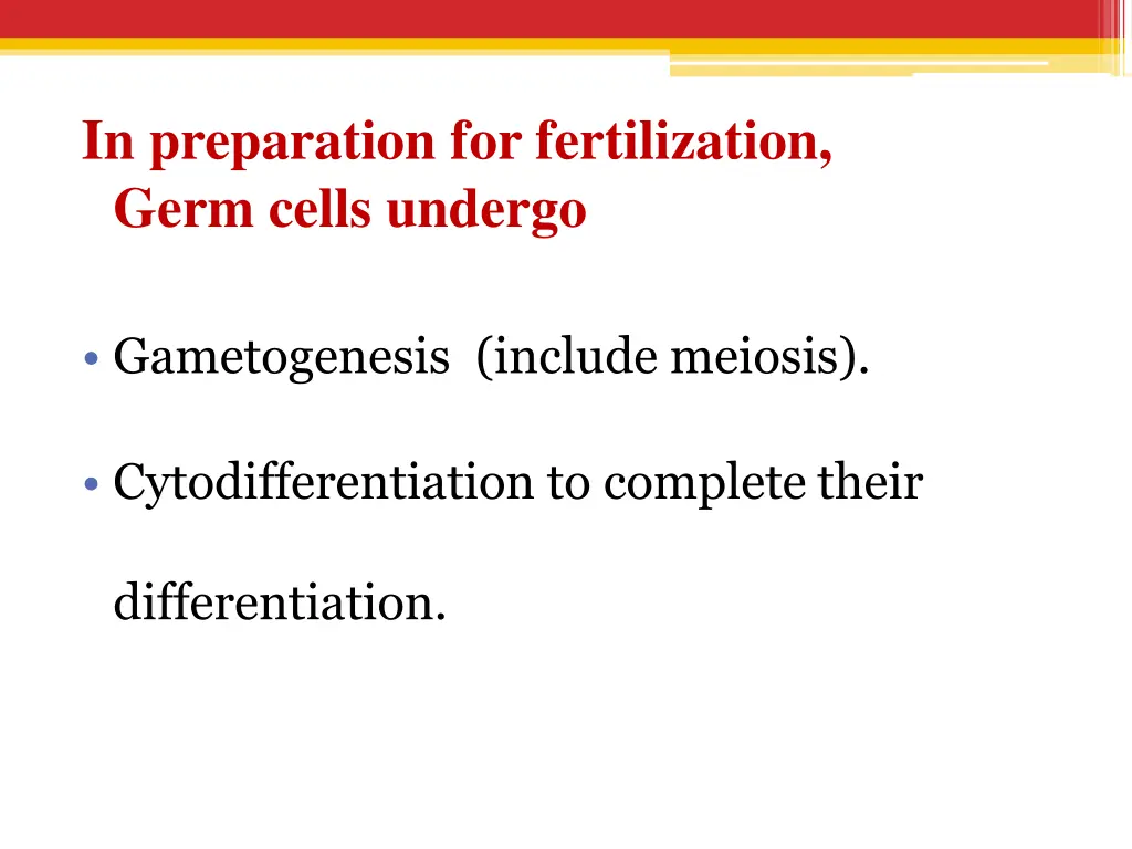 in preparation for fertilization germ cells