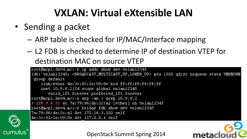 vxlan virtual extensible lan sending a packet