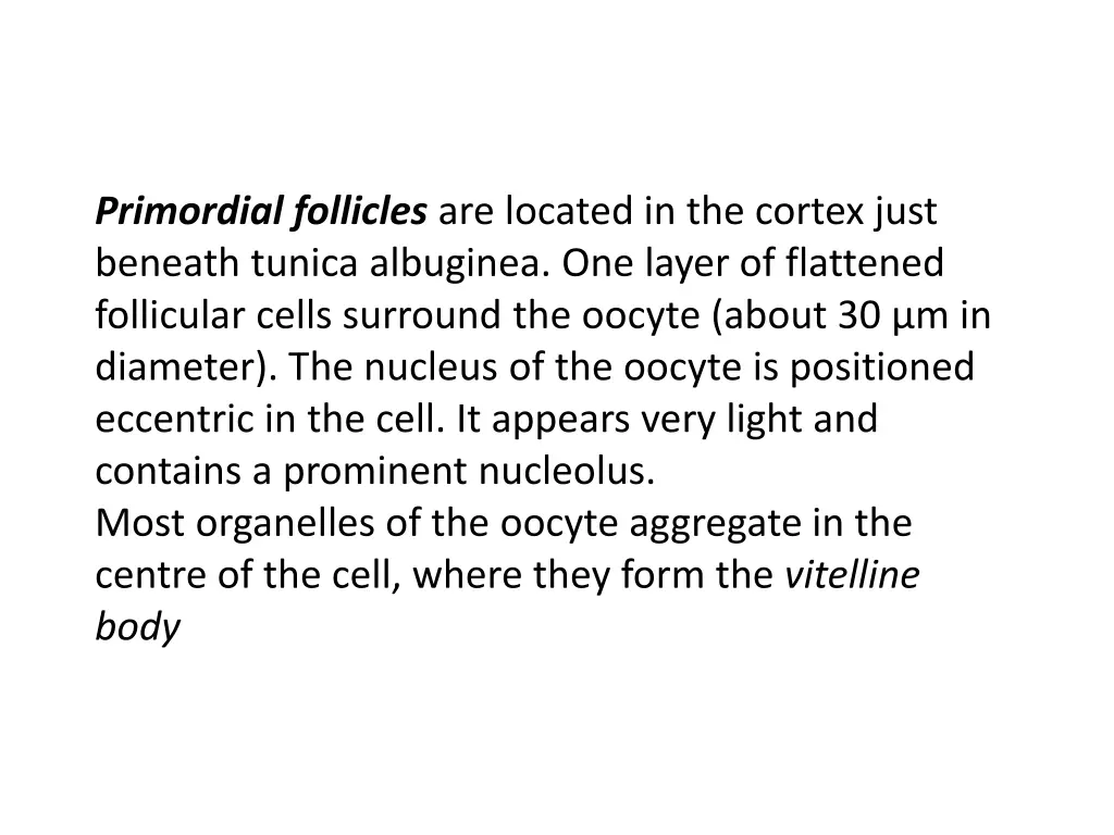 primordial follicles are located in the cortex