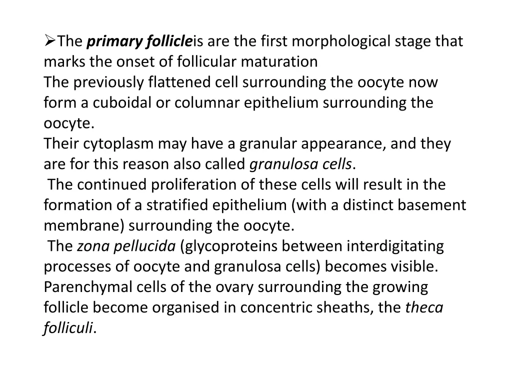 the primary follicle is are the first