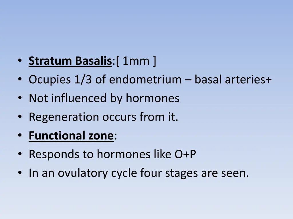 stratum basalis 1mm ocupies 1 3 of endometrium