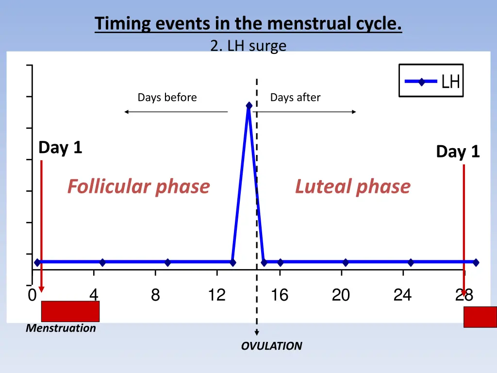 timing events in the menstrual cycle 2 lh surge