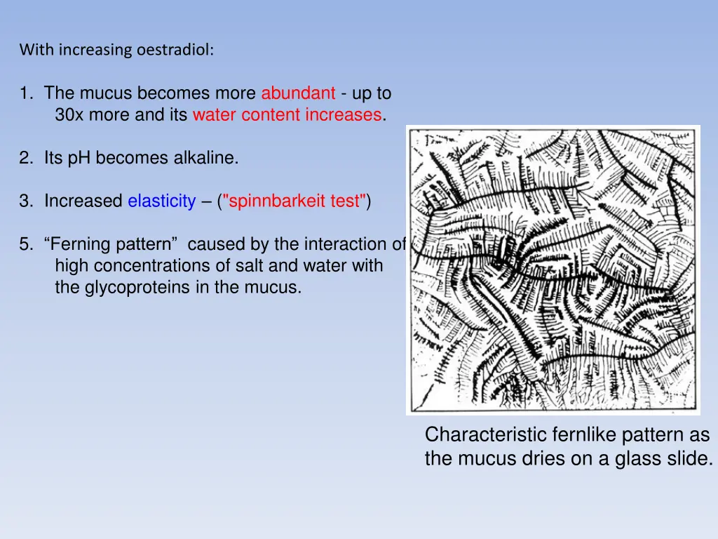 with increasing oestradiol