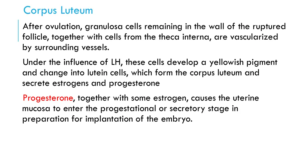 corpus luteum after ovulation granulosa cells