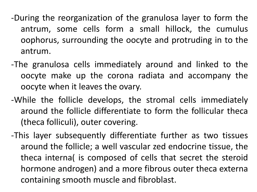 during the reorganization of the granulosa layer