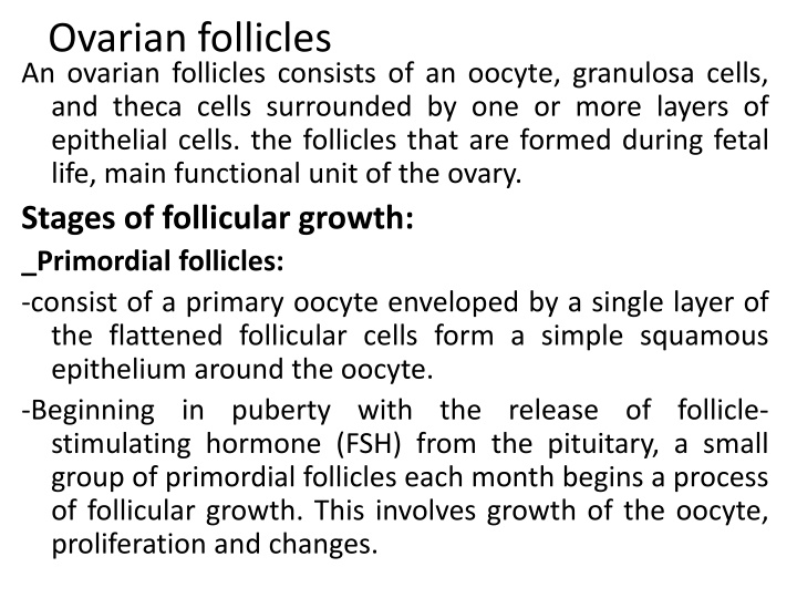 ovarian follicles an ovarian follicles consists