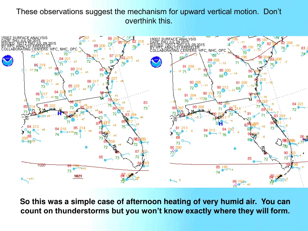 these observations suggest the mechanism