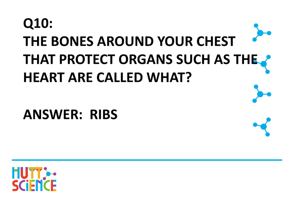 q10 the bones around your chest that protect