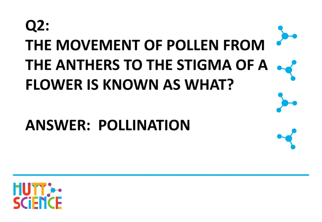 q2 the movement of pollen from the anthers