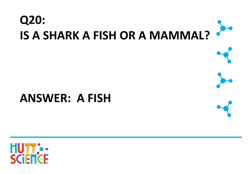 q20 is a shark a fish or a mammal