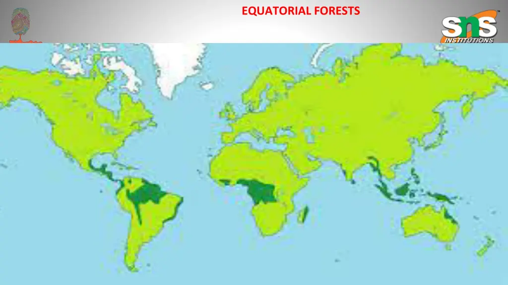 equatorial forests