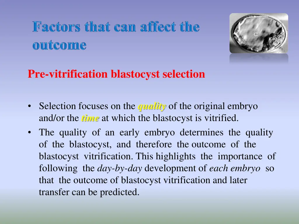 pre vitrification blastocyst selection