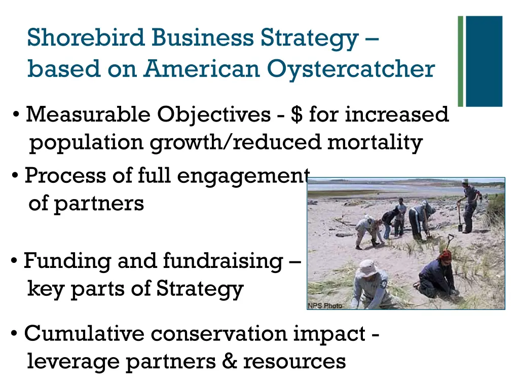 shorebird business strategy based on american