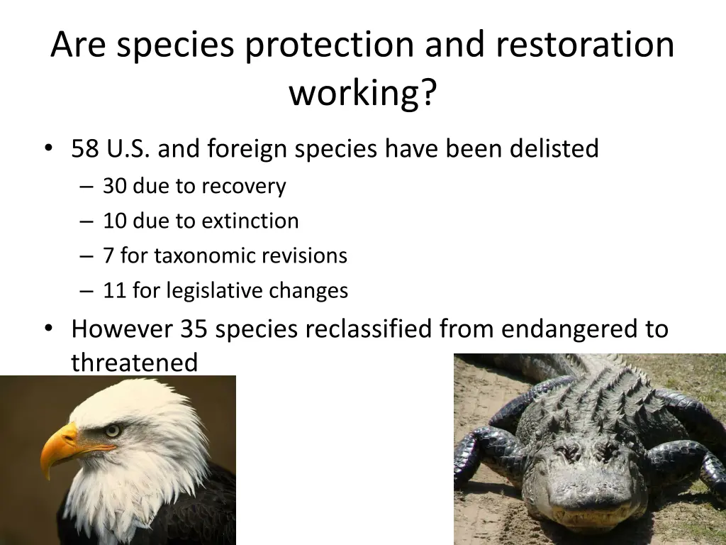 are species protection and restoration working