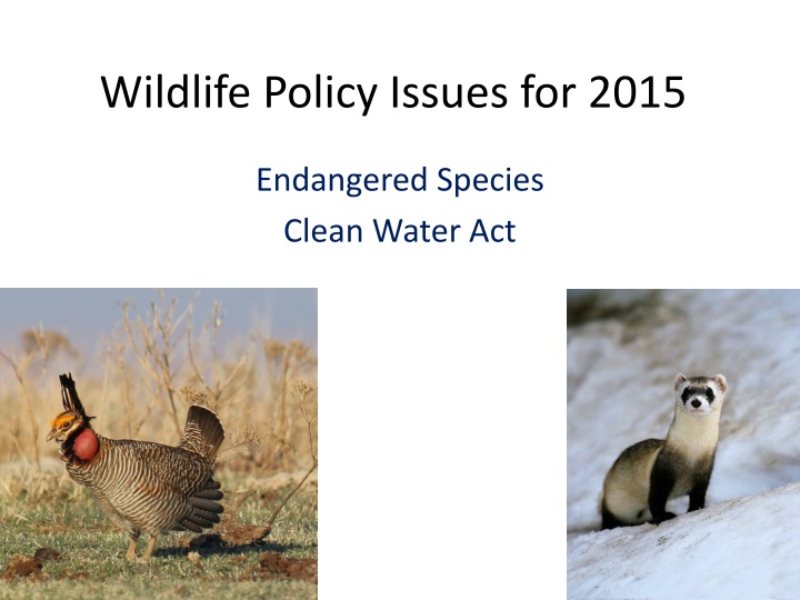 wildlife policy issues for 2015