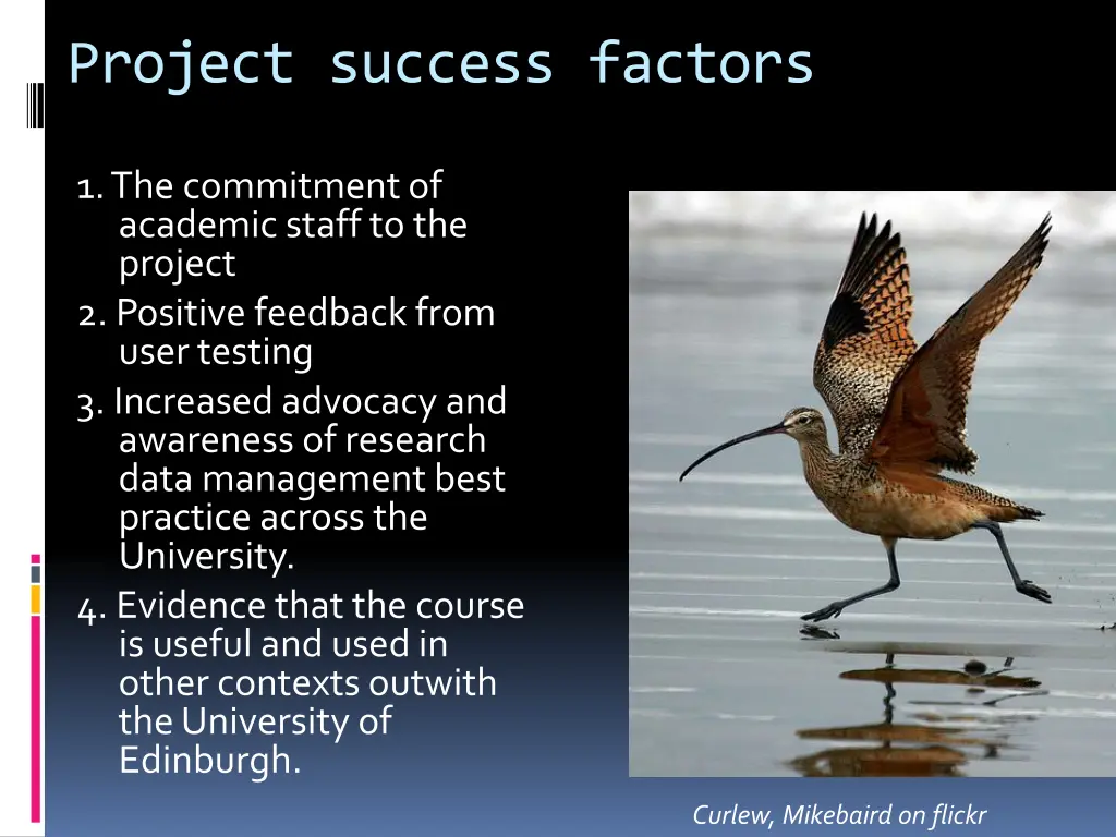 project success factors