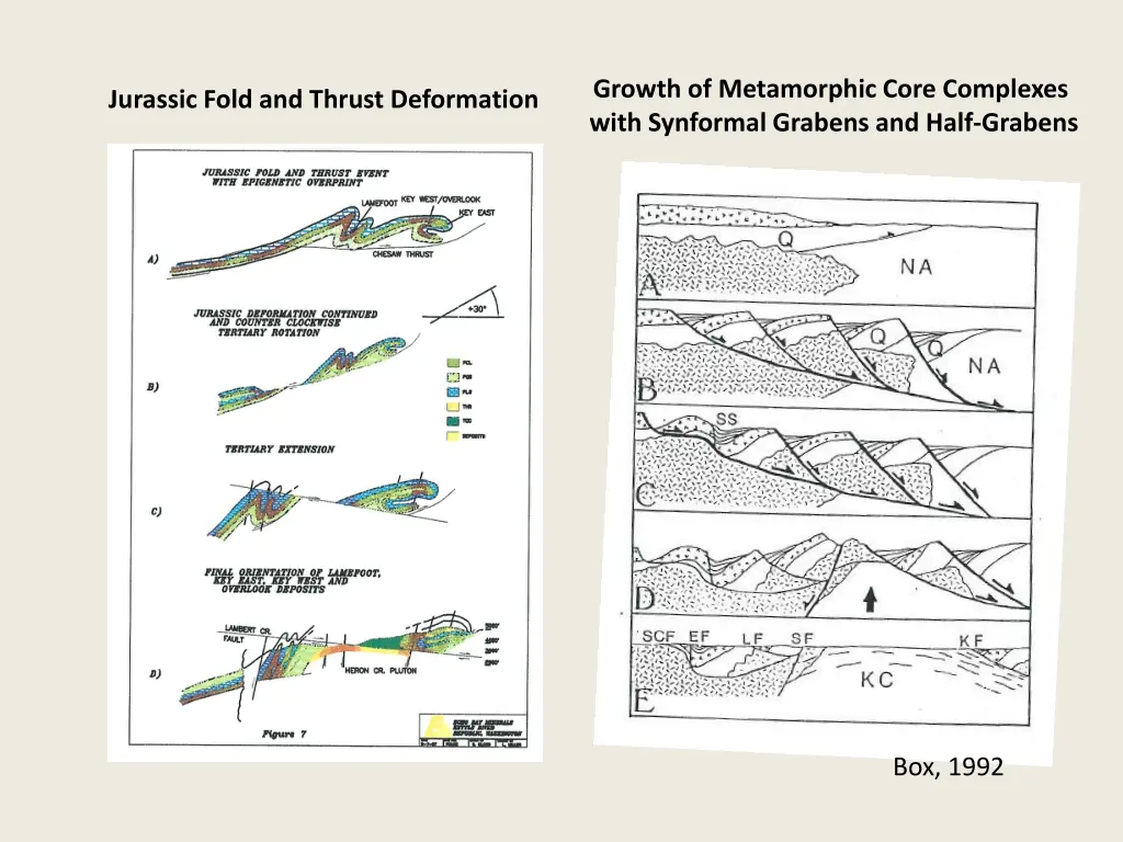 growth of metamorphic core complexes with