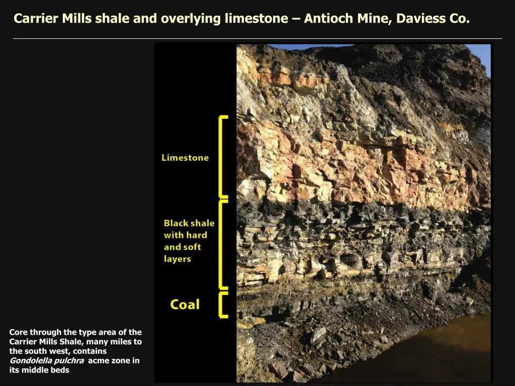 carrier mills shale and overlying limestone