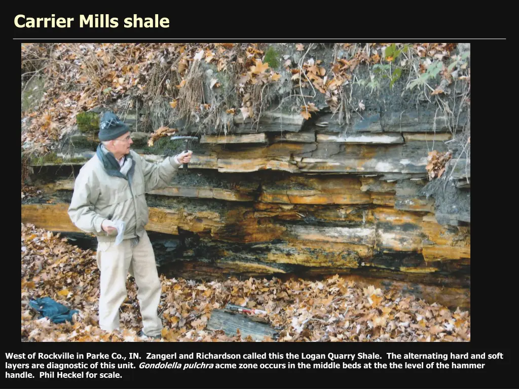 carrier mills shale