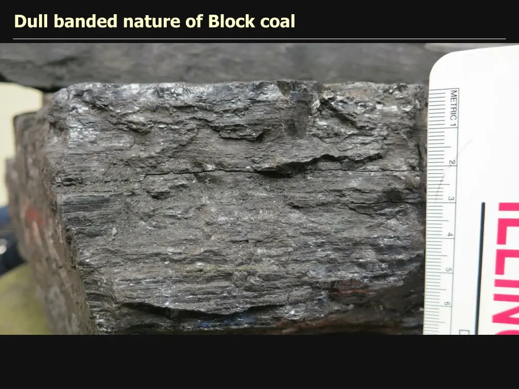 dull banded nature of block coal