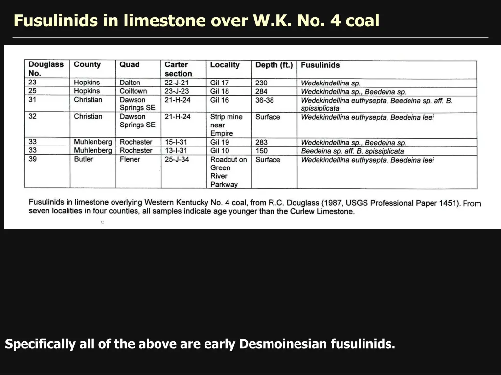 fusulinids in limestone over w k no 4 coal