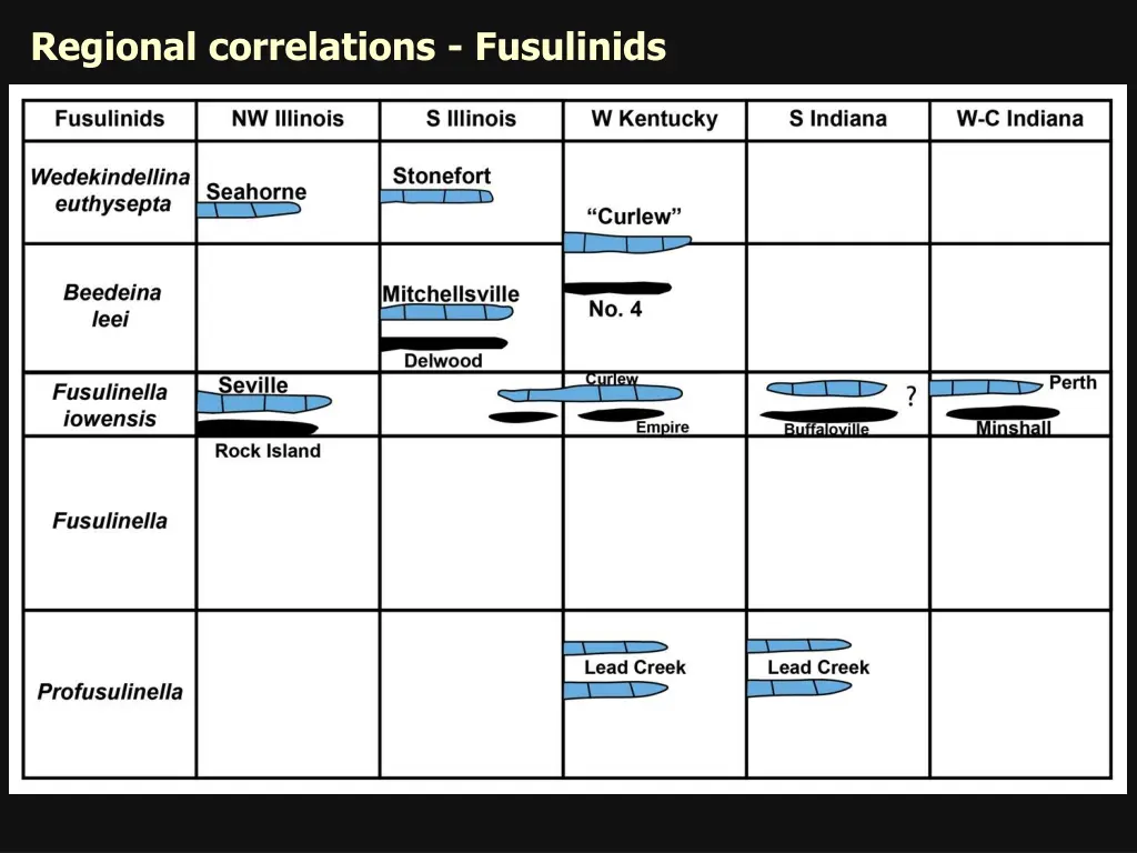 regional correlations fusulinids