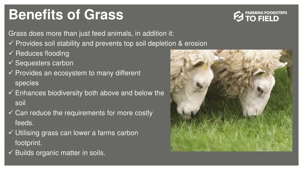 benefits of grass