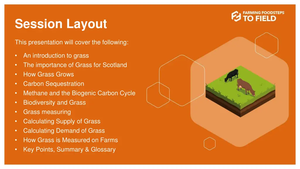 session layout