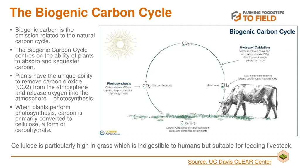 the biogenic carbon cycle