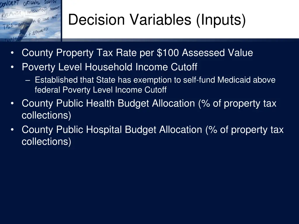 decision variables inputs