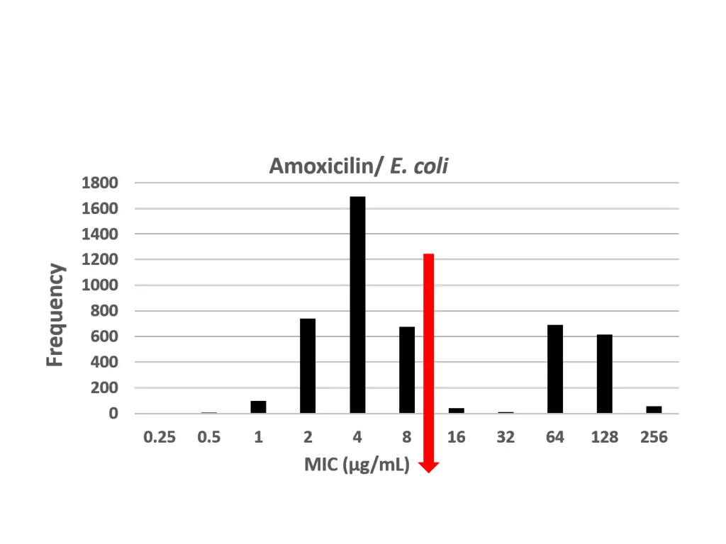 slide11