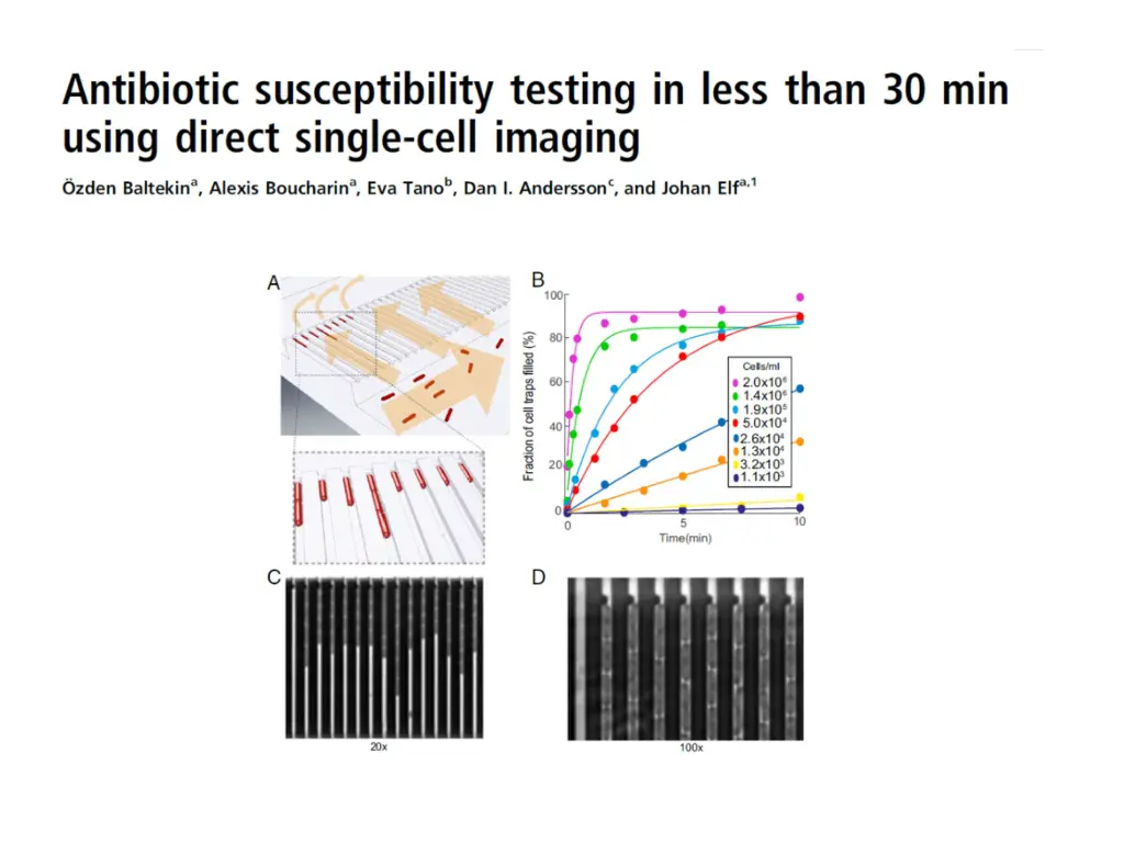 slide31