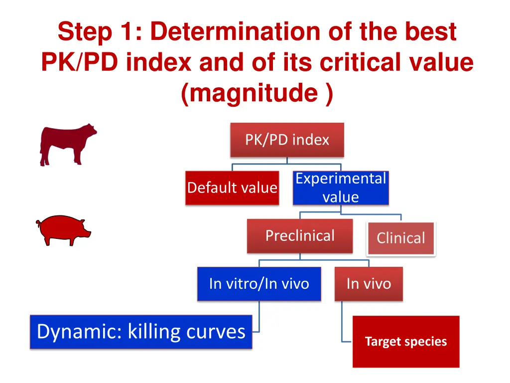 step 1 determination of the best pk pd index