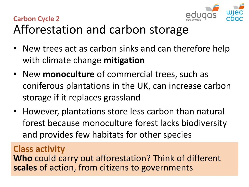 carbon cycle 2 afforestation and carbon storage