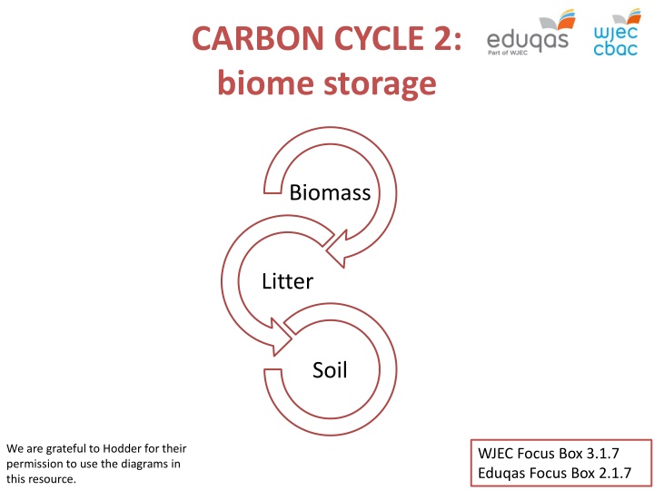 carbon cycle 2 biome storage