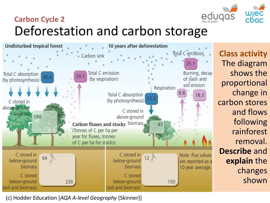 carbon cycle 2 deforestation and carbon storage 1