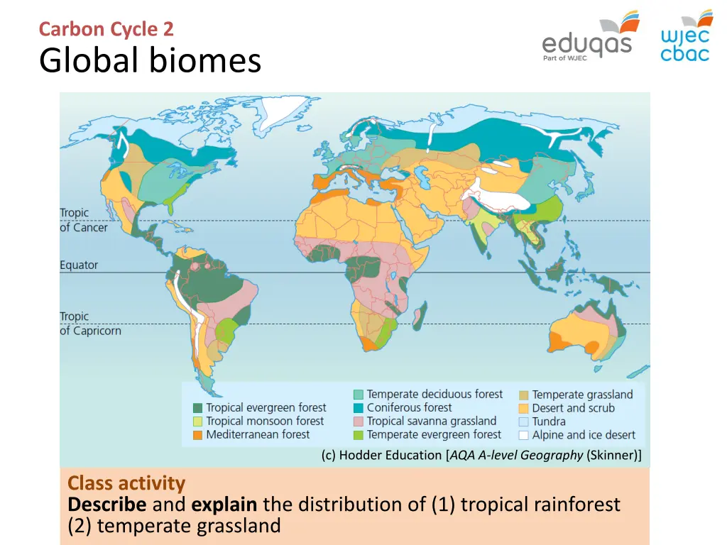 carbon cycle 2 global biomes