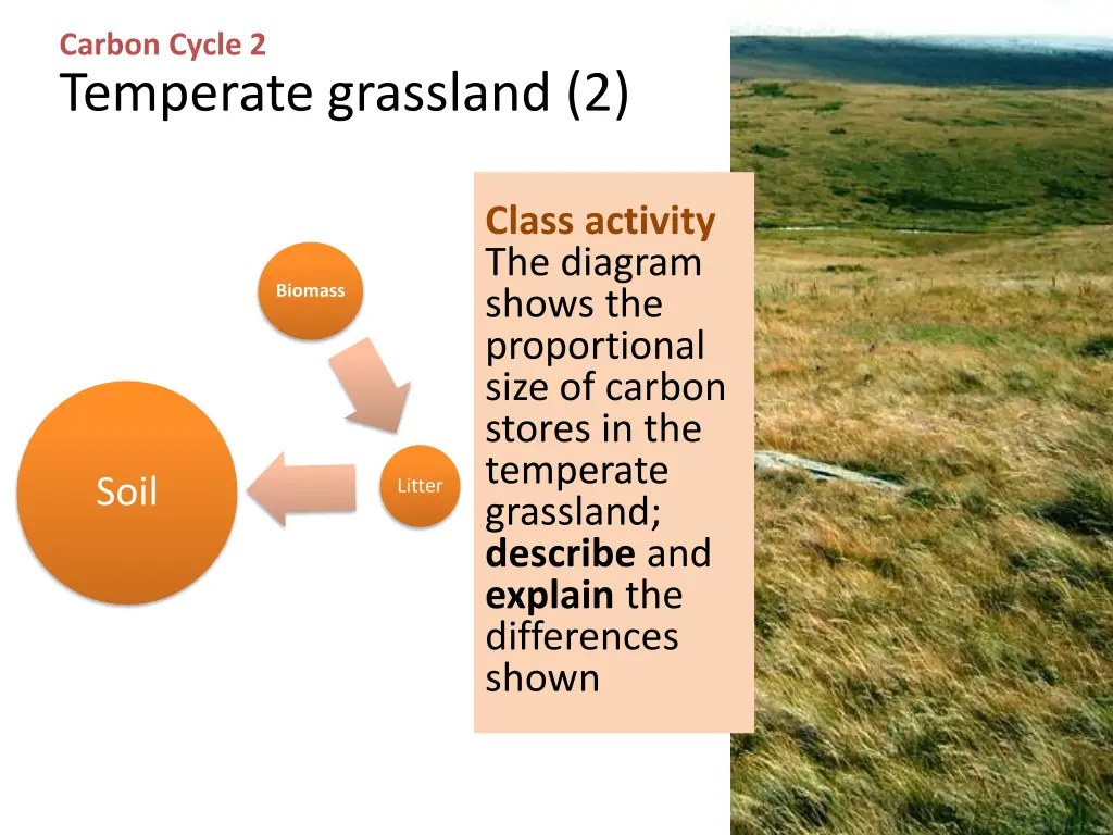 carbon cycle 2 temperate grassland 2