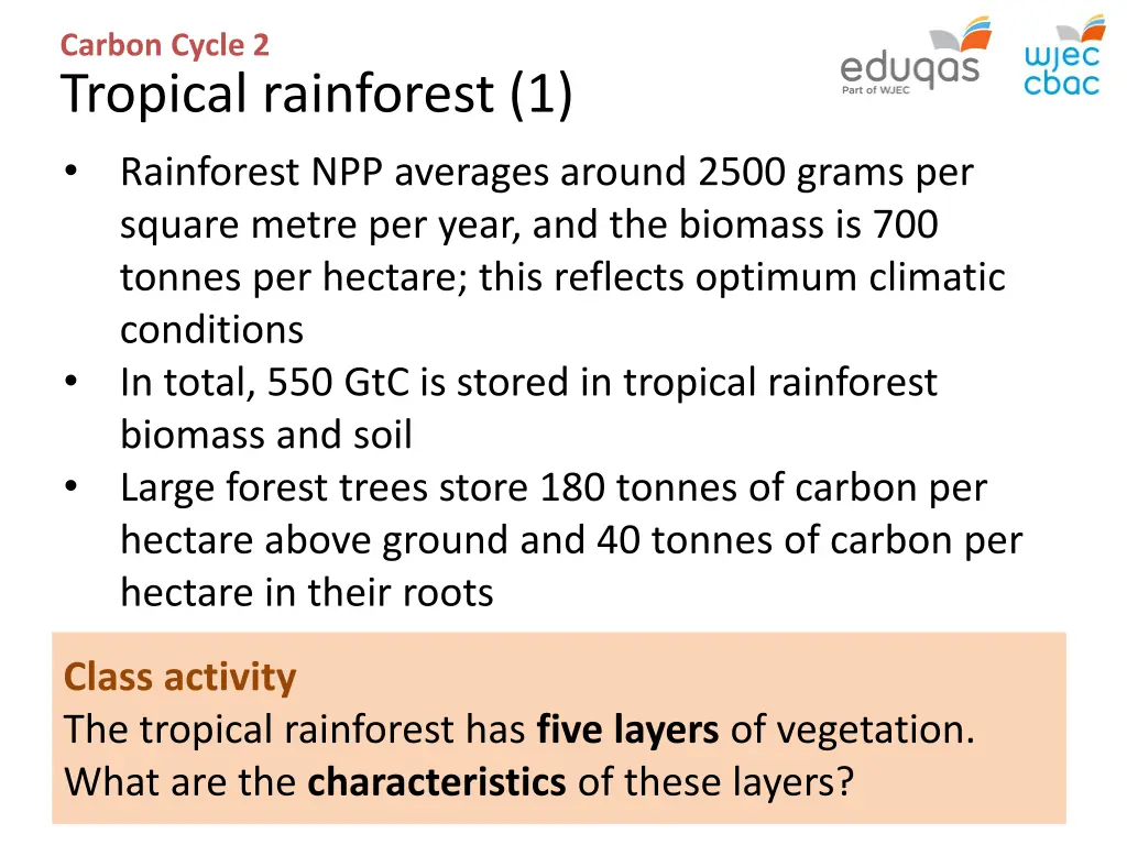 carbon cycle 2 tropical rainforest 1 rainforest