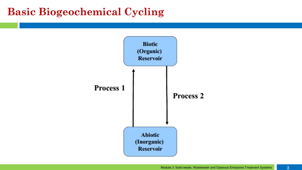 basic biogeochemical cycling