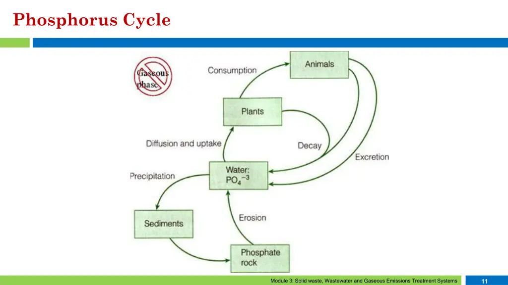 phosphorus cycle 5