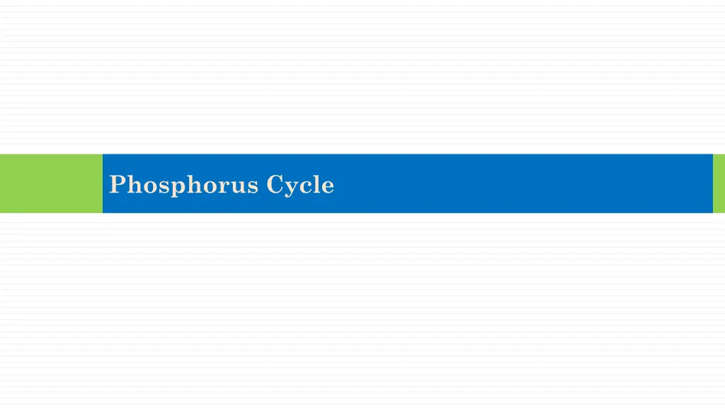 phosphorus cycle