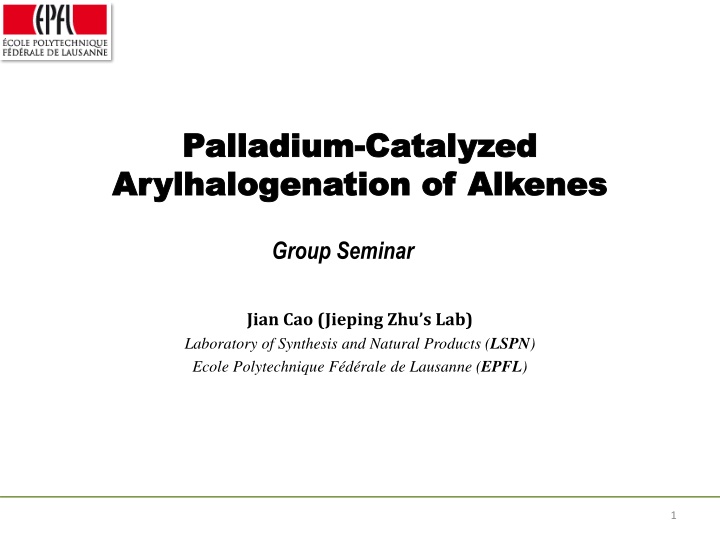 palladium palladium catalyzed catalyzed