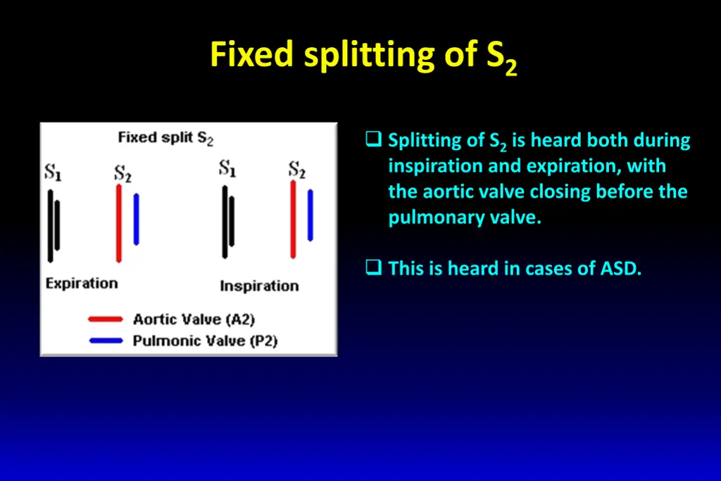 fixed splitting of s 2