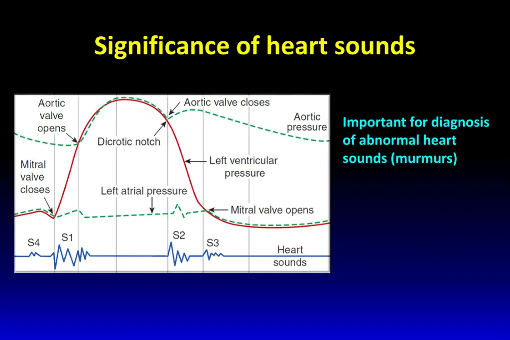 significance of heart sounds