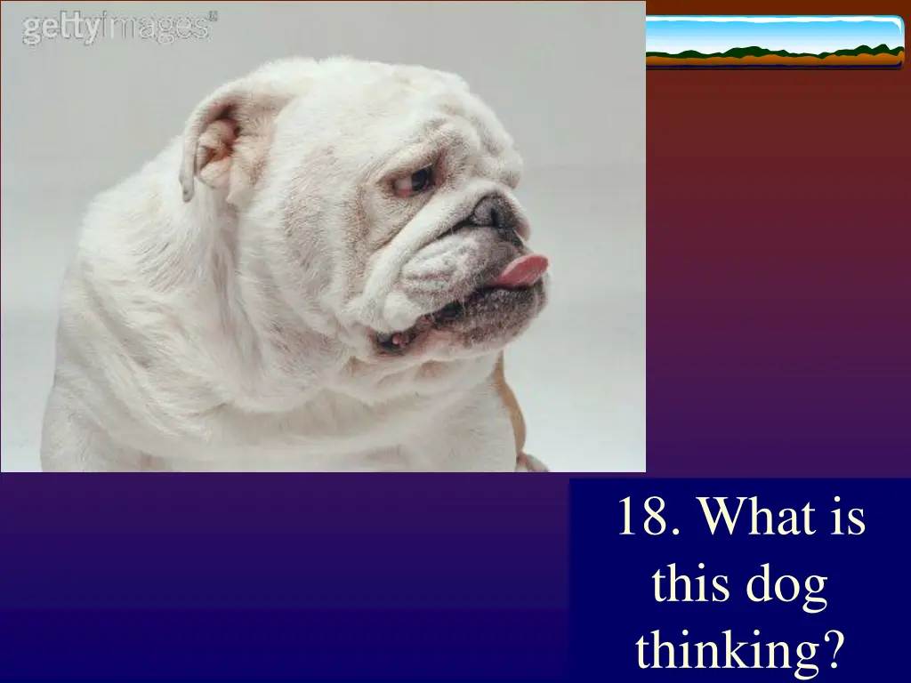 18 what is this dog thinking