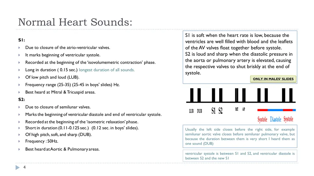 normal heart sounds