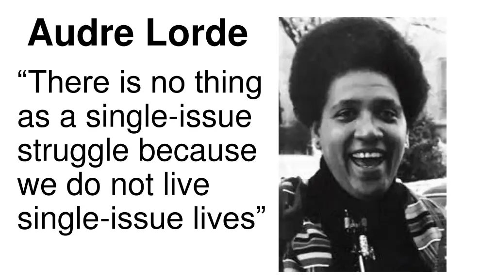 audre lorde there is no thing as a single issue