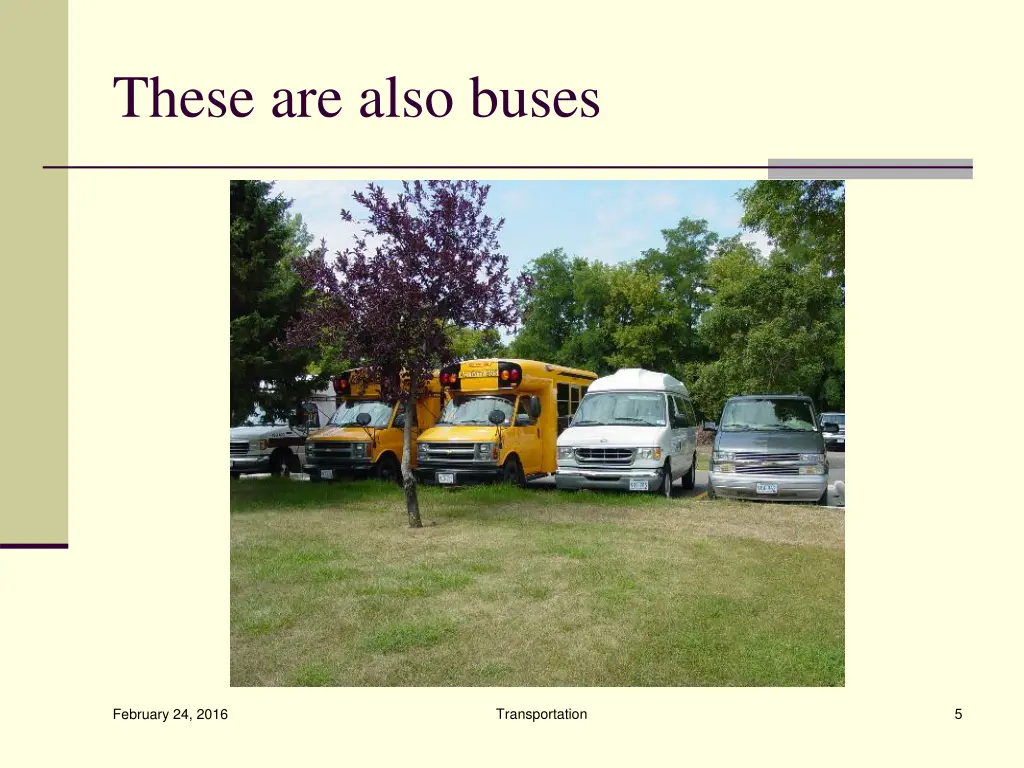 these are also buses